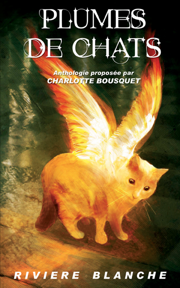 Plumes de chats - Rivière Blanche Plumes de chats - Rivière Blanche